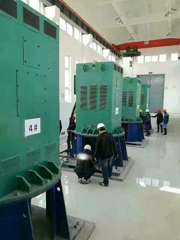 Y5009-4/1250KW某污水处理厂使用我厂的立式高压电机安装现场