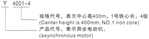 西安泰富西玛Y系列(H355-1000)高压Y5009-4/1250KW三相异步电机型号说明