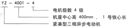 YR系列(H355-1000)高压Y5009-4/1250KW三相异步电机西安西玛电机型号说明